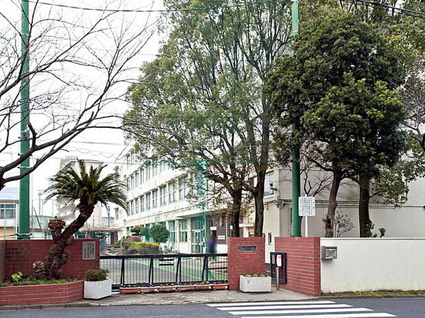 横浜市立左近山中学校まで800m