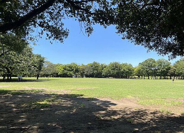 岸根公園まで450m