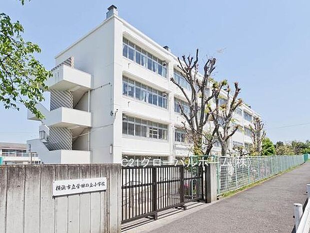 横浜市立菅田の丘小学校まで900m