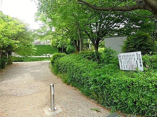 周辺を拡大表示