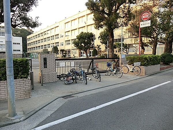 横浜市立新井小学校まで80m