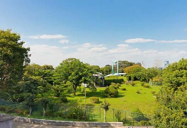 野毛山公園まで600m