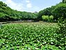 周辺：せせらぎ公園まで400m