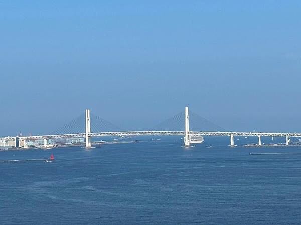 リビングから広がる青い海とベイブリッジの贅沢なロケーション。天気の良い日には澄み渡る青空と海のコントラストが心地よく、日々の暮らしに解放感を与えてくれます。