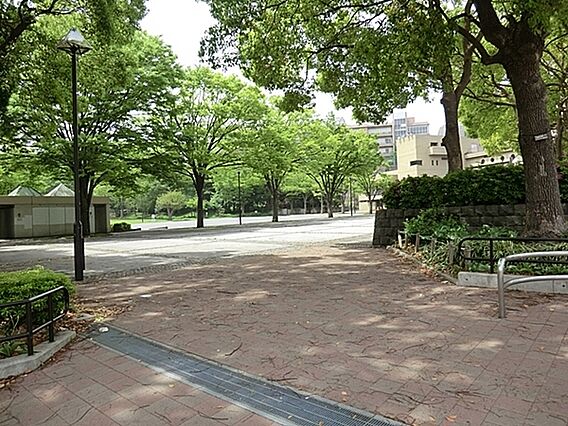 沢渡中央公園ま...