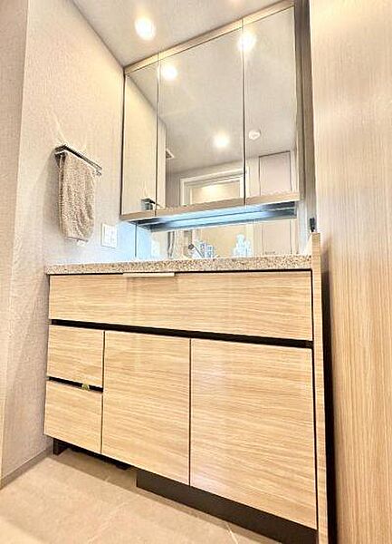 高級感あふれる木目調の面材や石目調のカウンターを採用した洗面化粧台です。鏡裏や下部にたっぷりと確保された収納スペースにより、散らかりがちな洗面周りの小物をすっきりと整理整頓できます。