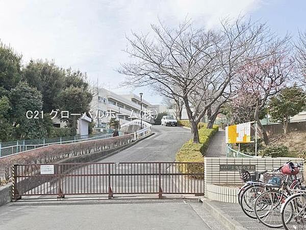 横浜市立上寺尾小学校まで190m