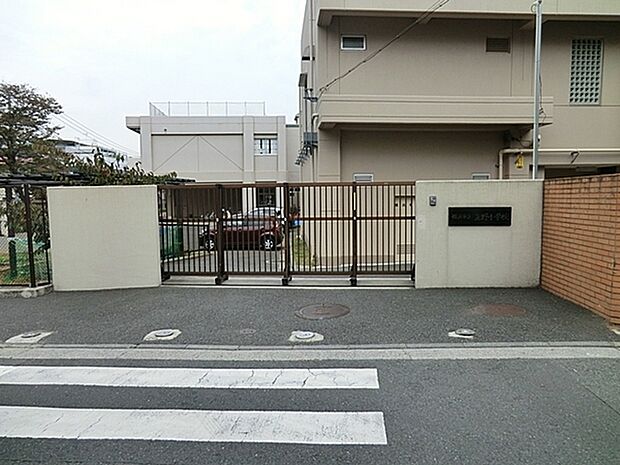 横浜市立立野小学校まで230m