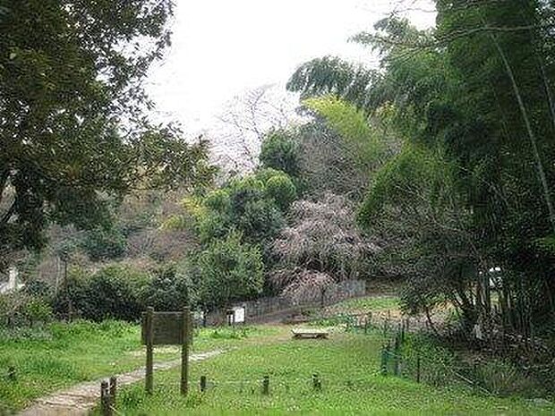 たちばなふれあいの森まで1200m