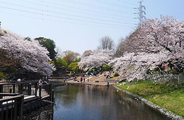 岸根公園まで750m