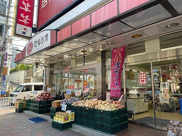 スーパーマーケットセルシオ和田町店まで500m