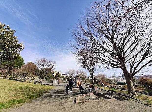 峰岡町三丁目公園まで210m