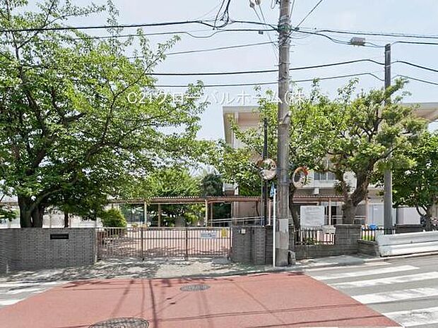 横浜市立白幡小学校まで1000m