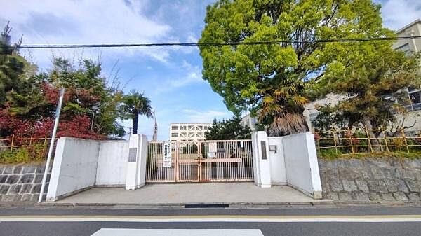 京都市立伏見住吉小学校まで621m