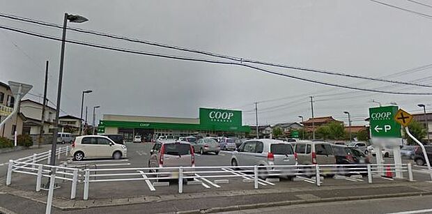 コープ千石センターまで1062m