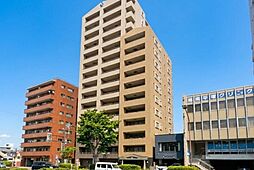 クィーンシティ平塚フェスタロード