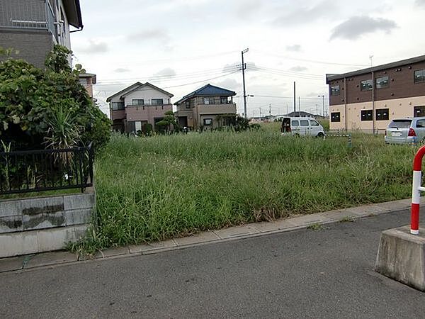 外観：311002491915