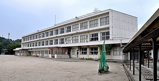 笠間市立笠間小学校まで791m