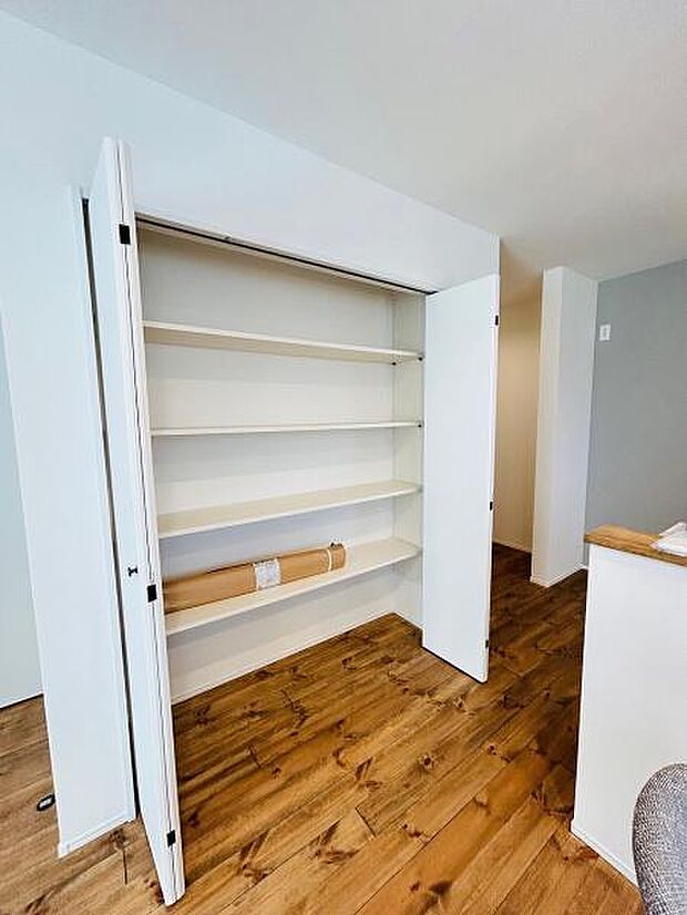 開放感のある収納スペースが設けられておりさまざまなアイテムを整理しやすい構造です。棚が複数設置されているため用途に応じて使い分けしやすいです。扉付きなので中身を隠してすっきりとした印象を保てます。