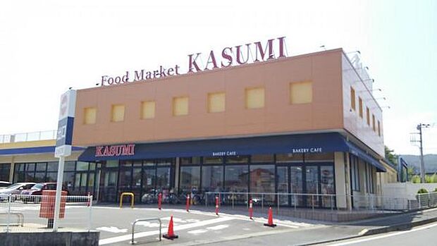 カスミ東大沼店まで1057m