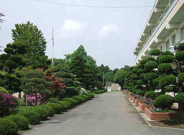 常陸大宮市立大宮中学校まで1042m