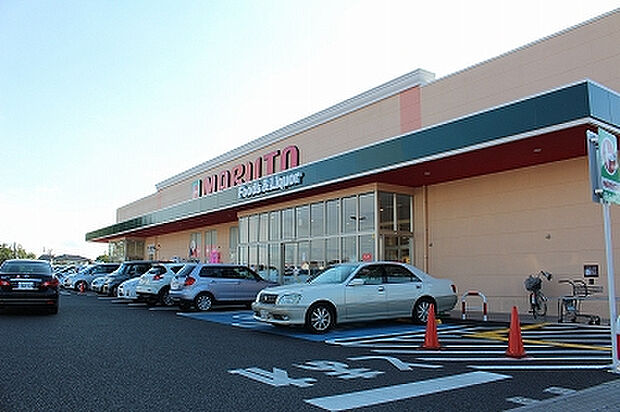 マルト佐和店まで1110m