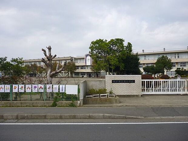 水戸市立寿小学校まで1245m