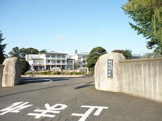 ひたちなか市立市毛小学校まで664m