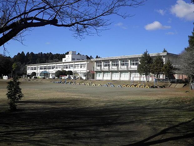 ひたちなか市立三反田小学校まで1331m