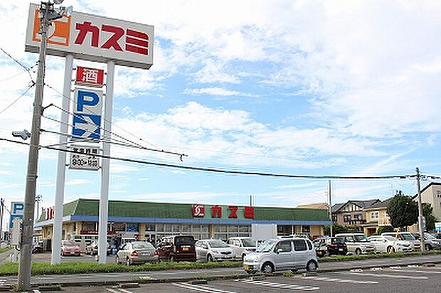 カスミ津田店まで1001m
