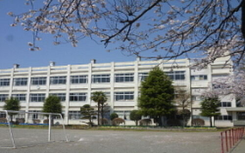 ひたちなか市立中根小学校まで1063m
