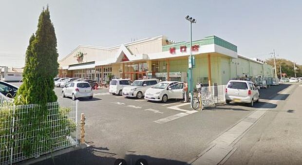 サンユーストアー堀口店まで746m