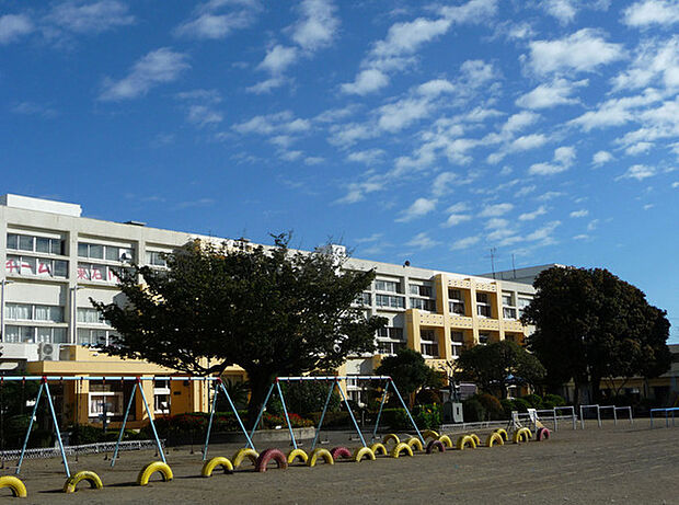 ひたちなか市立東石川小学校まで1184m