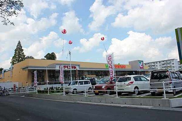 ヨークベニマル東大島店まで317m