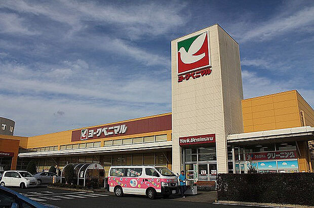 ヨークベニマル赤塚店まで600m