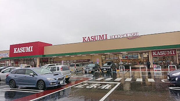 カスミフードスクエア水戸西原店まで641m