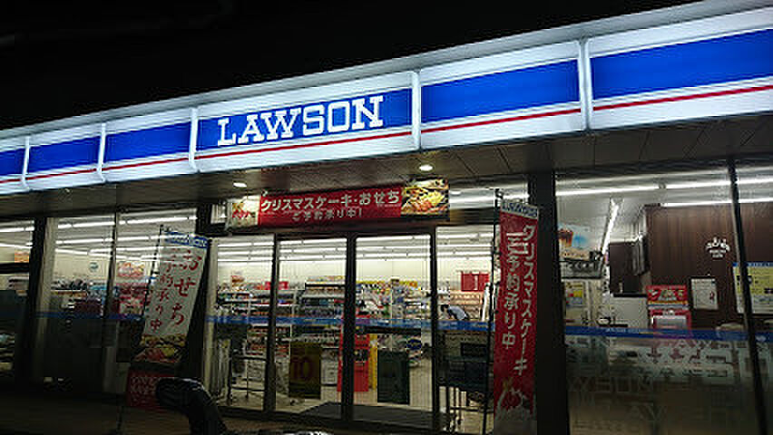 Image 7