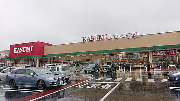 カスミフードスクエア水戸西原店まで1125m