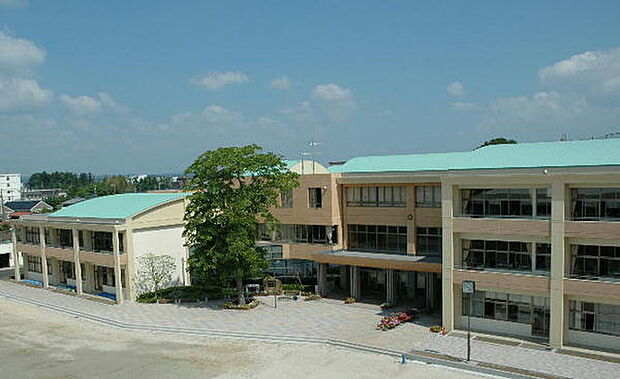 水戸市立新荘小学校まで540m