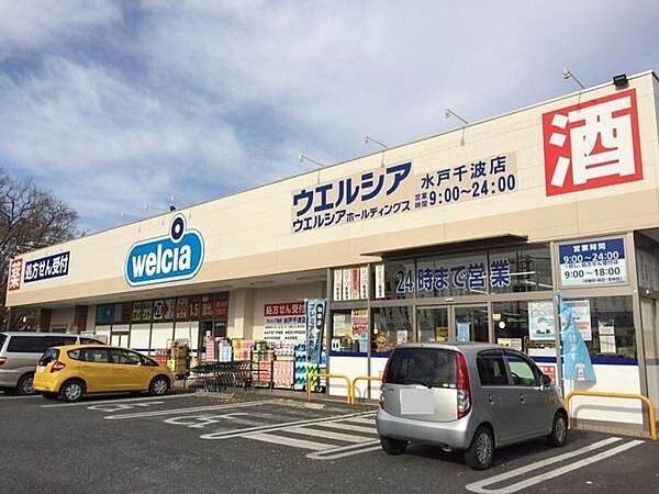 ウエルシア水戸千波店まで1051m