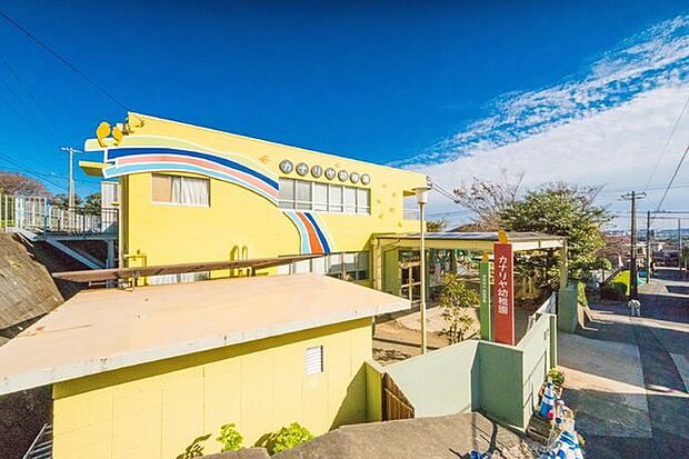 カナリヤ幼稚園まで150m