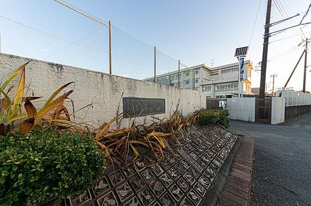 セブンイレブン茅ヶ崎今宿東店