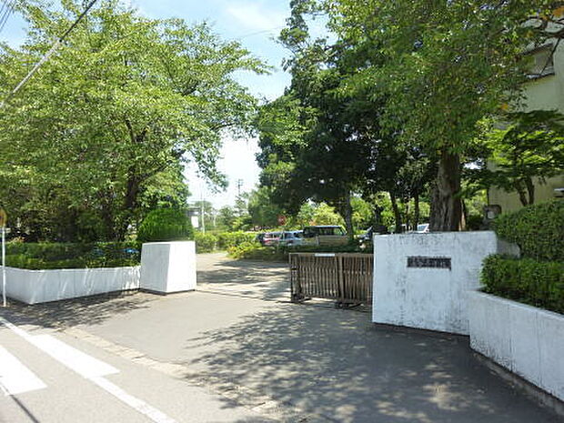 佐倉市立佐倉小学校まで972m