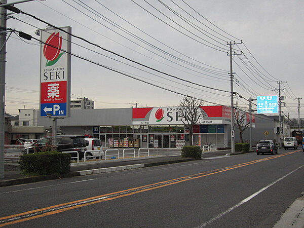 ドラッグストアセキ南流山店まで261m、近年ＯＰＥＮ！大きめのドラッグストア。