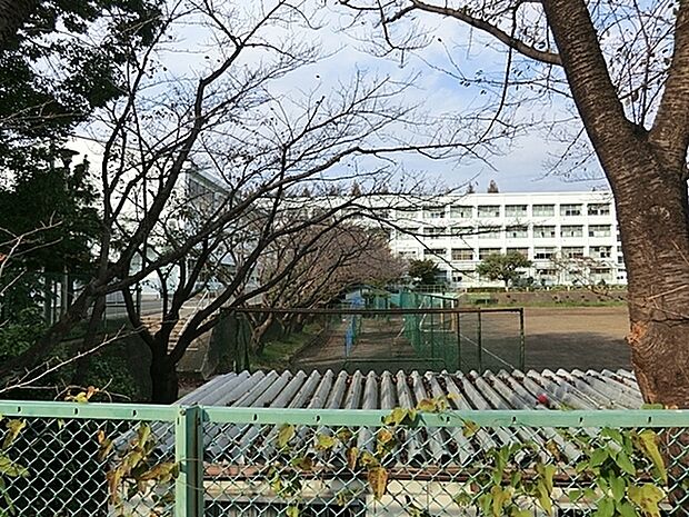 横浜市立都岡中学校まで1576m、学校教育目標は心豊かな人となれ　〜空へ続く校舎はスペアミントブルー〜
