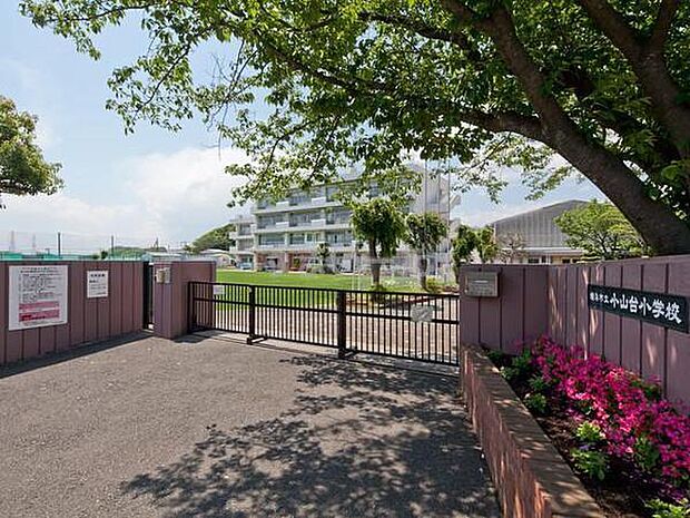 横浜市立小山台小学校まで584m