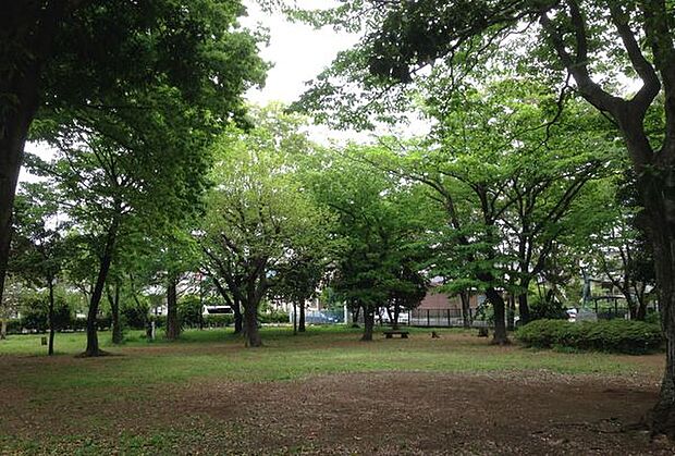 多胡記念公園まで365m、茶室・書院のある緑豊かな公園。茶道体験教室などのイベントも行っている。
