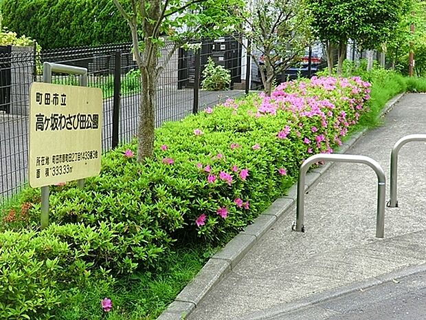 高ヶ坂わさび田公園まで649m、地面を芝生に覆われた公園です。砂遊びをじっと眺める用のベンチがあります。