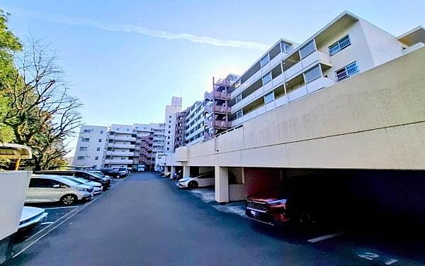 外観：313004531851