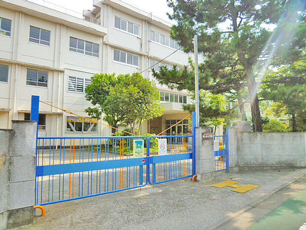 川崎市立梶ケ谷小学校まで315m